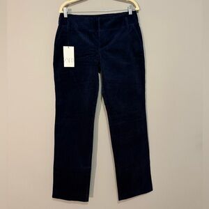 Zara Navy Velvet Pants